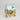 Animal Farm Design Disposable Kids Meal Boxes x250 - GM Packaging (UK) Ltd