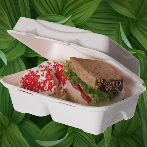 2 Compartment Eco Food Boxes