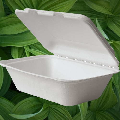 Bagasse Lunch Box HP9