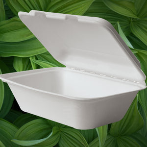 7x5 inch bagasse box - GM Packaging UK Ltd