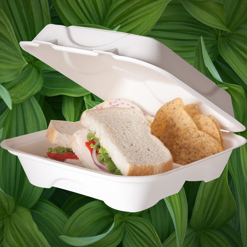 Large Bagasse Clamshell Containers - GM Packaging (UK) Ltd 