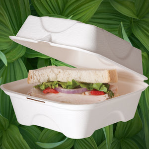 Biodegradable Bagasse Burger Boxes - GM Packaging (UK) Ltd 